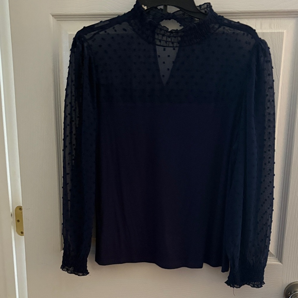W5 Navy Blouse with Sheer Sleeves
